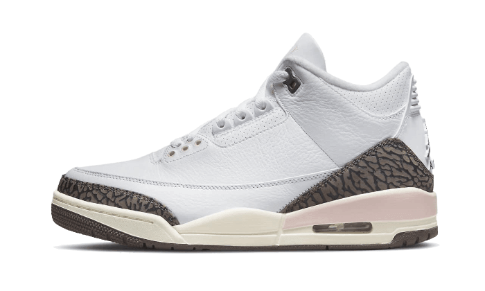 Air Jordan 3 Dark Mocha (Neapolitan) - Exclufy