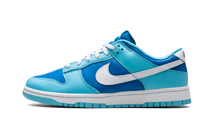 Nike Dunk Low Argon - Exclufy