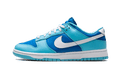 Nike Dunk Low Argon - Exclufy