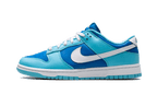 Nike Dunk Low Argon - Exclufy