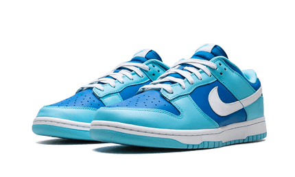 Nike Dunk Low Argon - Exclufy