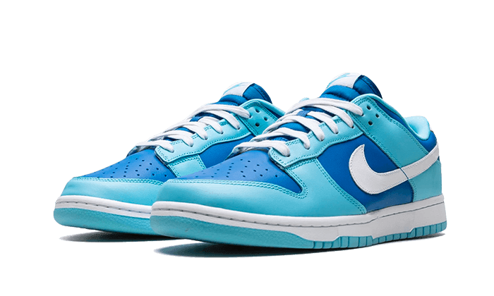 Nike Dunk Low Argon - Exclufy