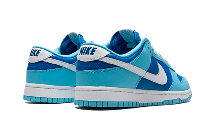 Nike Dunk Low Argon - Exclufy