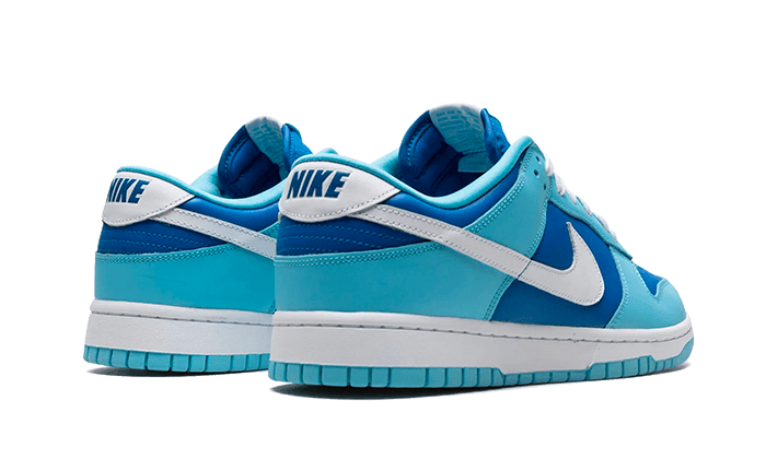 Nike Dunk Low Argon - Exclufy