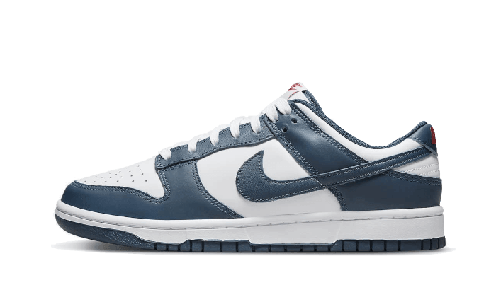 Nike Dunk Low Valerian Blue - Exclufy