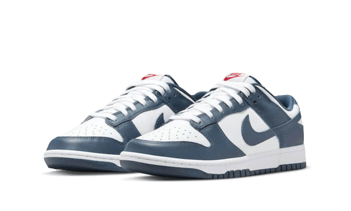 Nike Dunk Low Valerian Blue - Exclufy