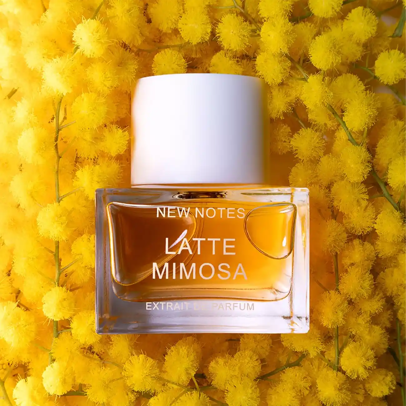 New Notes Latte Mimosa 60ml