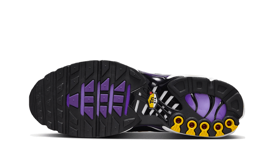 Nike Air Max Plus Voltage Purple - Exclufy