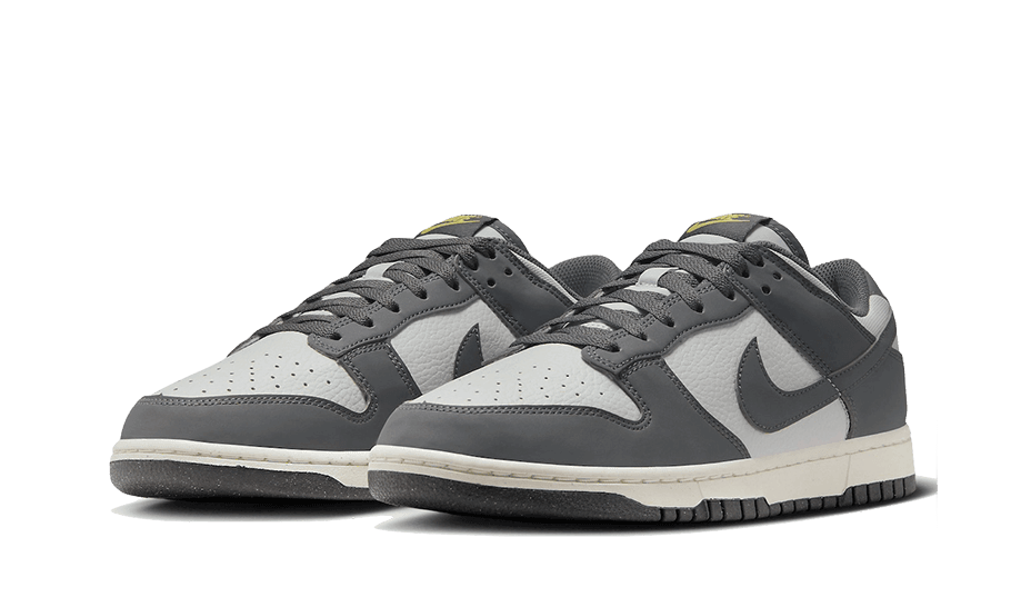 Nike Dunk Low Next Nature Iron Grey Lightning - Exclufy