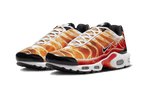 Nike Air Max Plus Light Photography - Exclufy