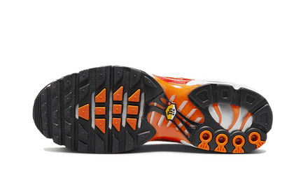 Nike Air Max Plus Light Photography - Exclufy