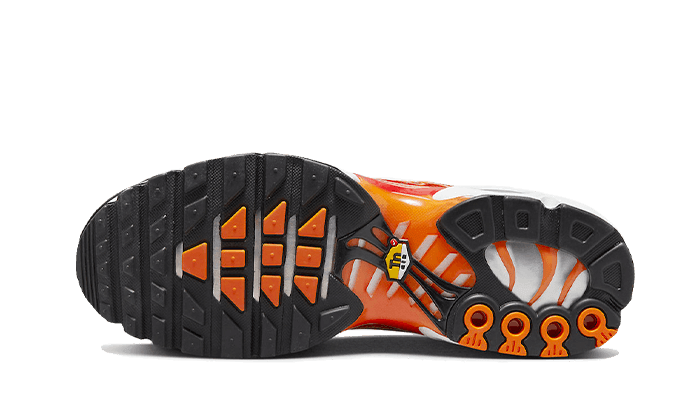 Nike Air Max Plus Light Photography - Exclufy