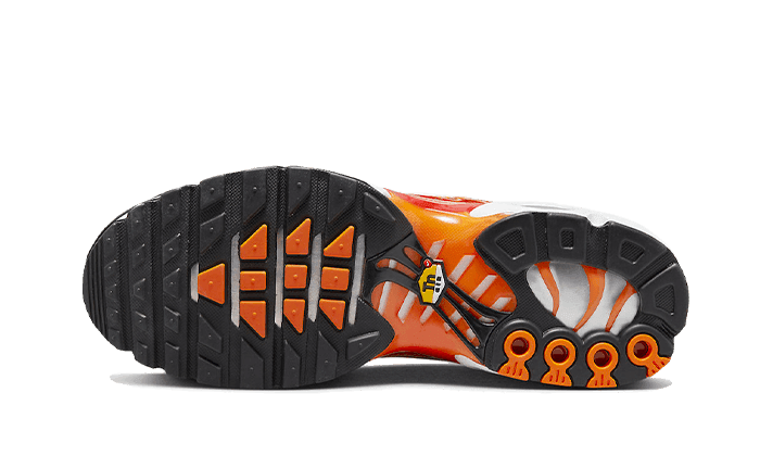 Nike Air Max Plus Light Photography - Exclufy