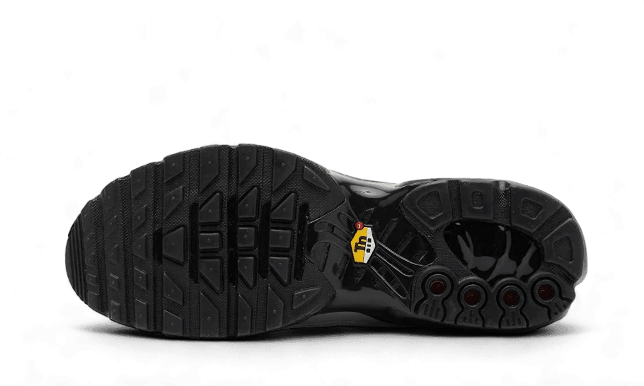 Nike Air Max Plus Tiempo Wolf Grey - Exclufy