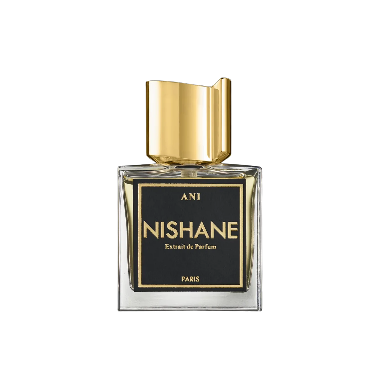 Nishane Ani 100ml