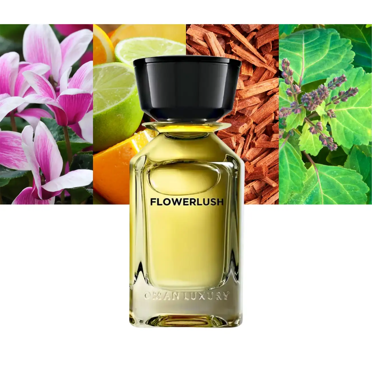 Oman Luxury Flowerlush 100ml