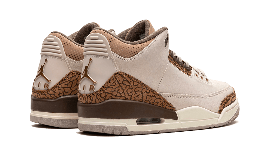 Air Jordan 3 Palomino - Exclufy