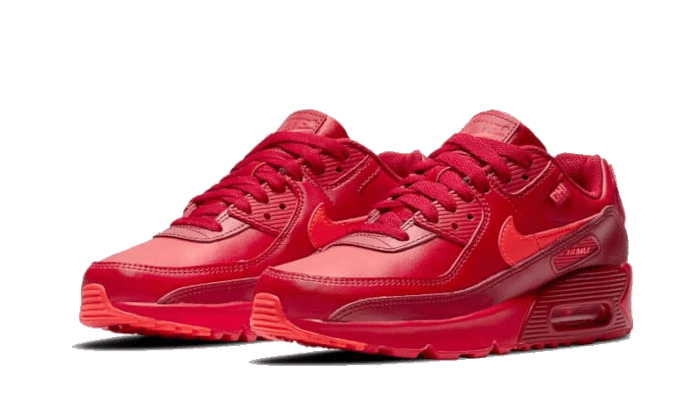 Nike Air Max 90 Chi-City Special - Exclufy