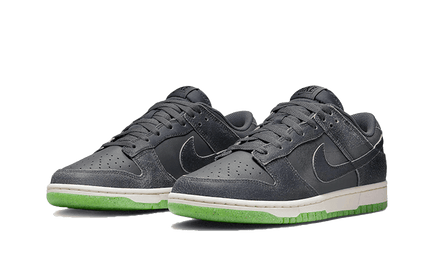 Nike Dunk Low Swoosh Shadow Iron Grey - Exclufy