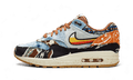 Nike Air Max 1 SP Concepts Heavy - Exclufy
