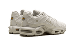 Nike Air Max Plus A-COLD-WALL Platinum Tint - Exclufy