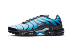 Nike Air Max Plus Blue Gradient - Exclufy