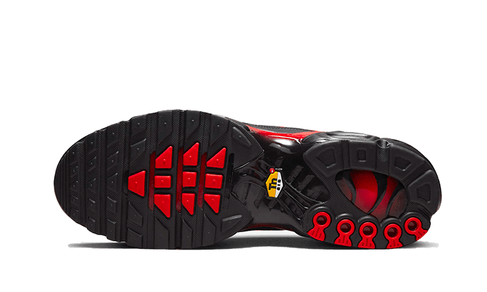 Nike Air Max Plus Bred Reflective - Exclufy