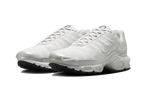Nike Air Max Plus Reflective Platinum - Exclufy