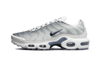 Nike Air Max Plus Sail Grey - Exclufy