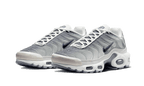 Nike Air Max Plus Sail Grey - Exclufy