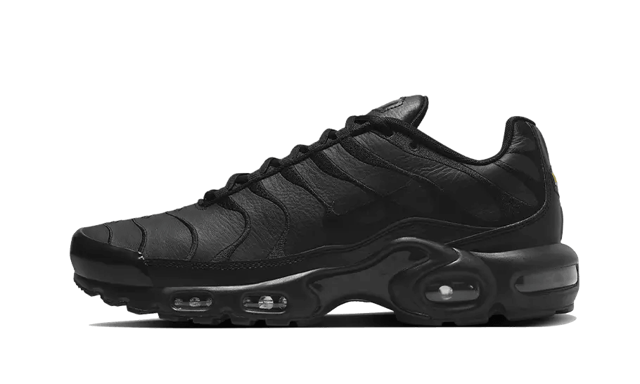 Nike Air Max Plus Triple Black Leather - Exclufy