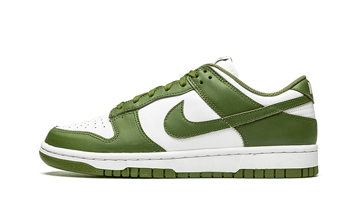 Nike Dunk Low Medium Olive - Exclufy