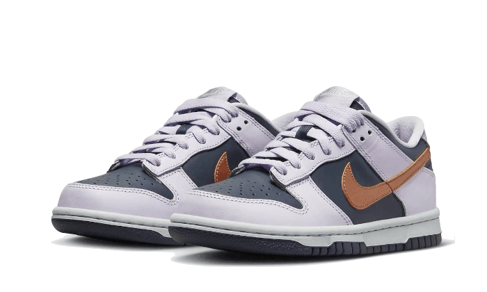 Nike Dunk Low SE Copper Swoosh - Exclufy