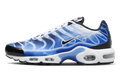 Nike Air Max Plus Light Photography Old Royal - Exclufy