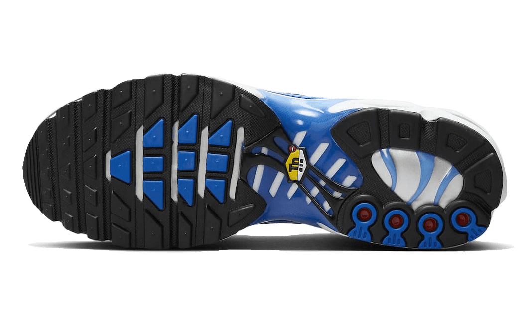 Nike Air Max Plus Light Photography Old Royal - Exclufy