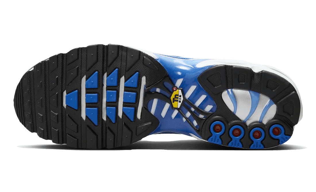Nike Air Max Plus Light Photography Old Royal - Exclufy