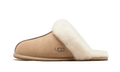UGG Scuffette II Mustard Seed - Exclufy