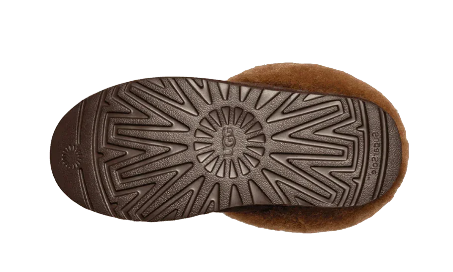 UGG Tazzlita Hardwood - Exclufy