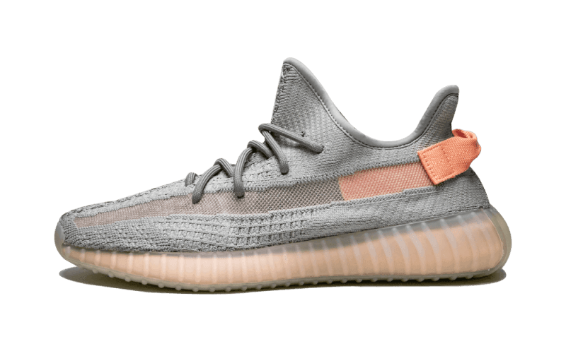 Adidas Yeezy Boost 350 V2 True Form - Exclufy